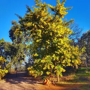  Сasa de vacaciones La Viriñuela España